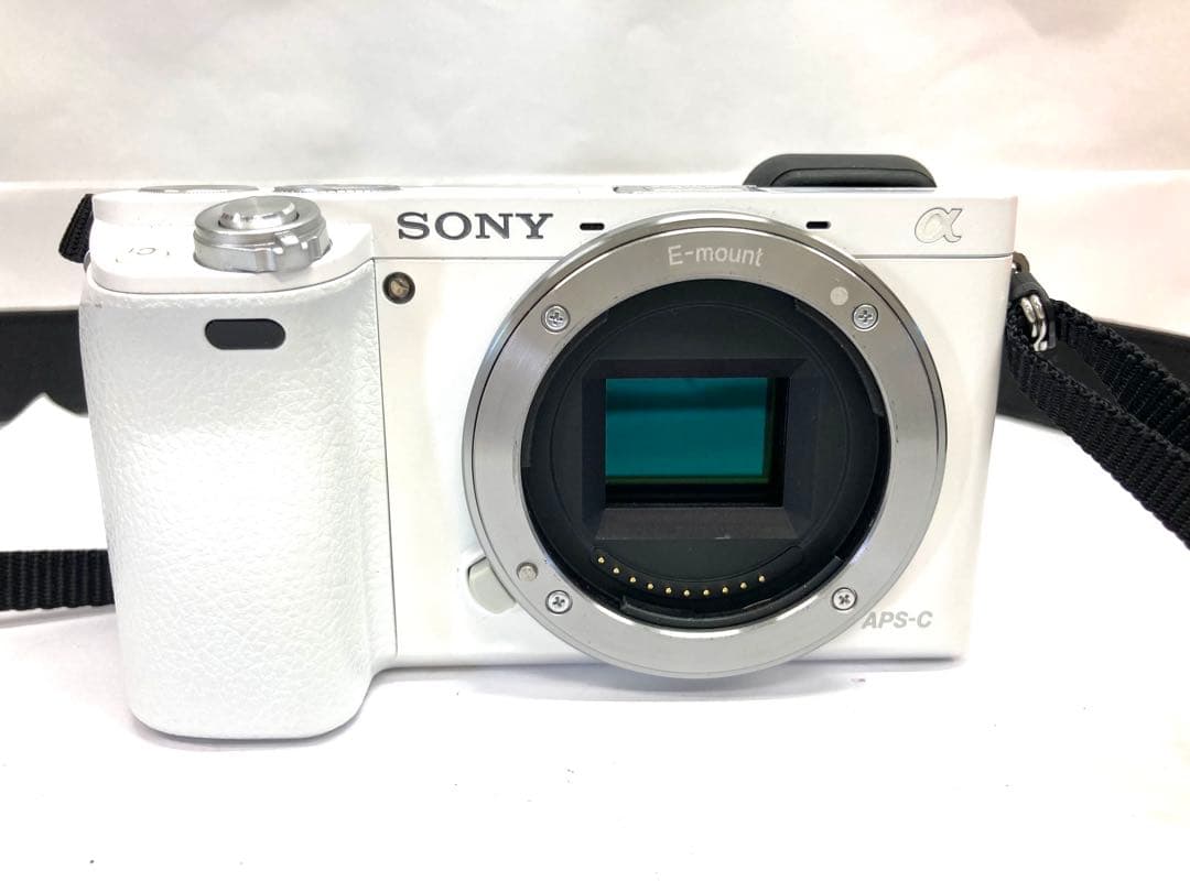 SONY ソニー a6000 ミラーレス一眼 ダブルズームレンズキット
