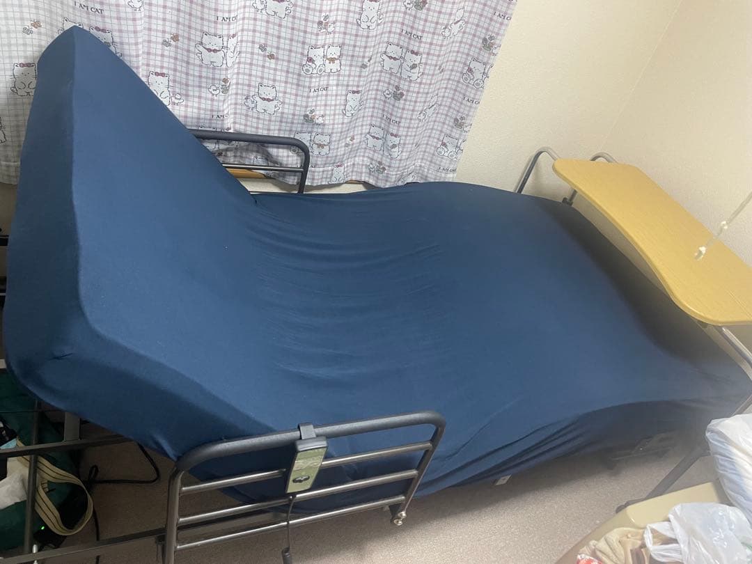 ニトリ　セレサ3【サイドガード付き】