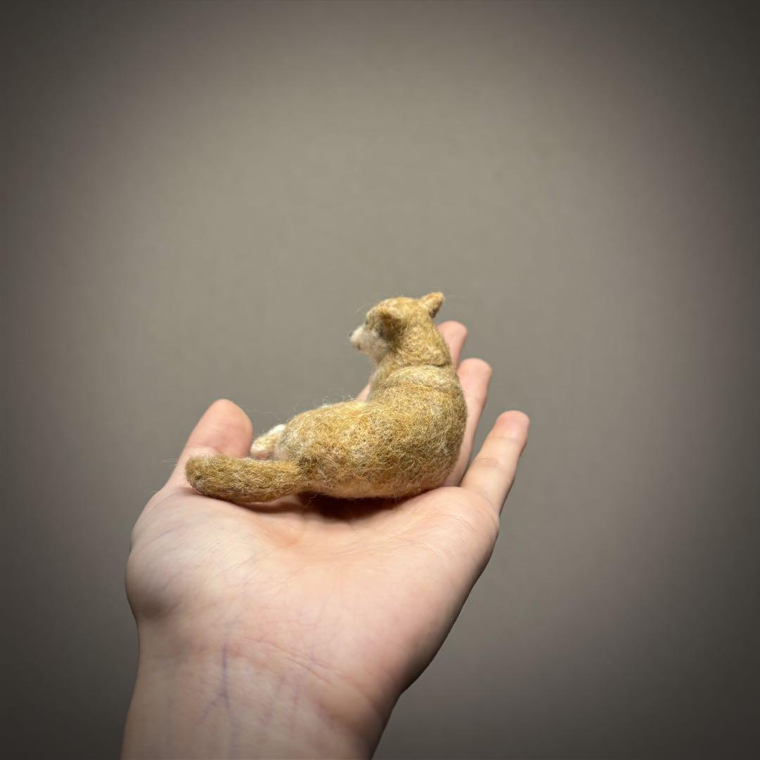 手のひら柴犬