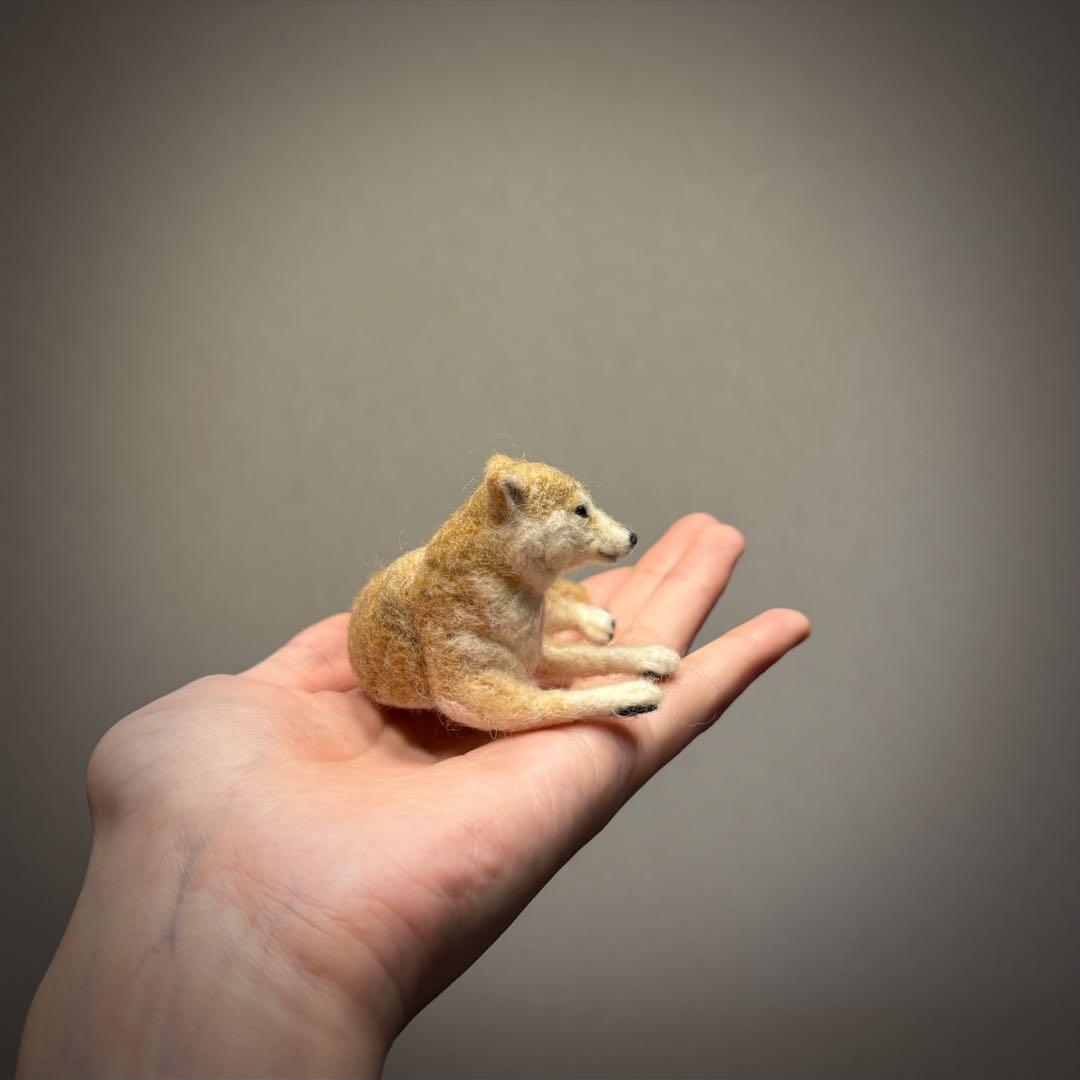 手のひら柴犬