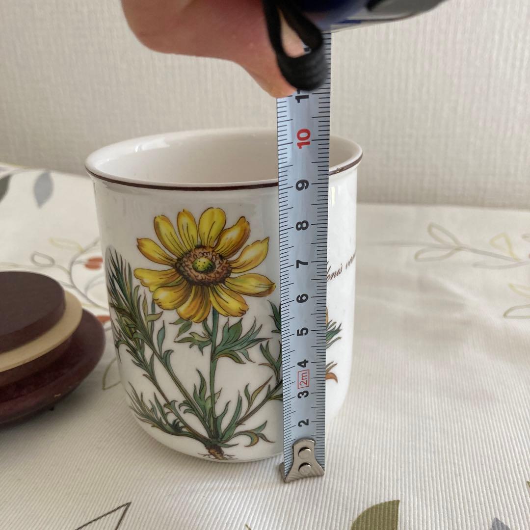 ビレロイ＆ボッホ　ボタニカル　蓋付き保存容器　 2個　キャニスター　廃盤品