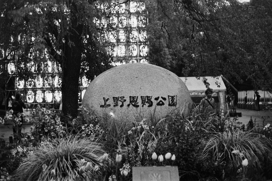 フィルムカメラ Konica IIIA