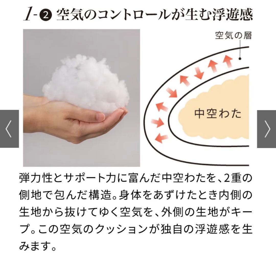 この大きさで背中までサポート ふんわりシンクロピロー　ディノス