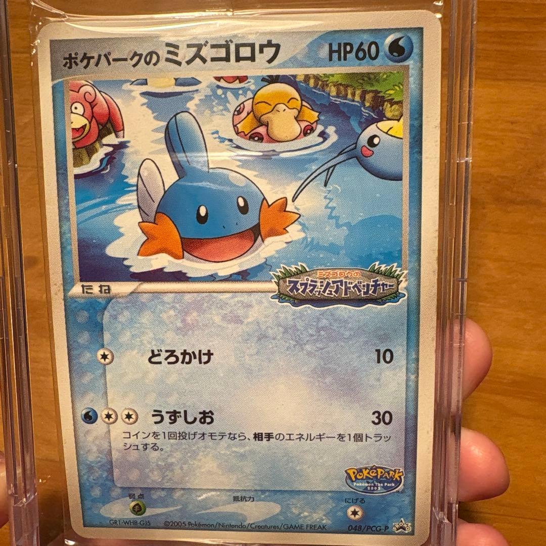 【未開封】ポケパークのミズゴロウ 048/PCG-P PROMO