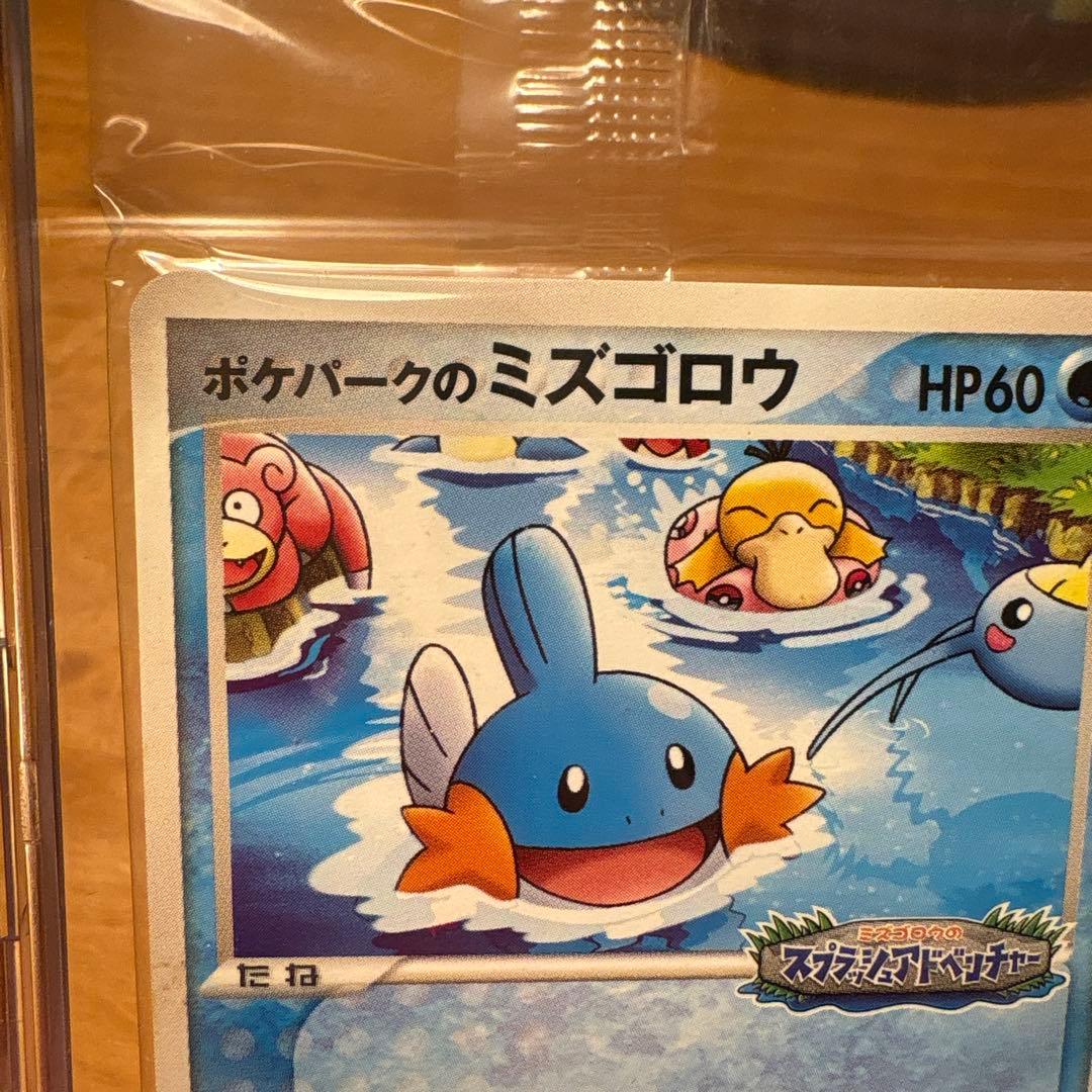 【未開封】ポケパークのミズゴロウ 048/PCG-P PROMO