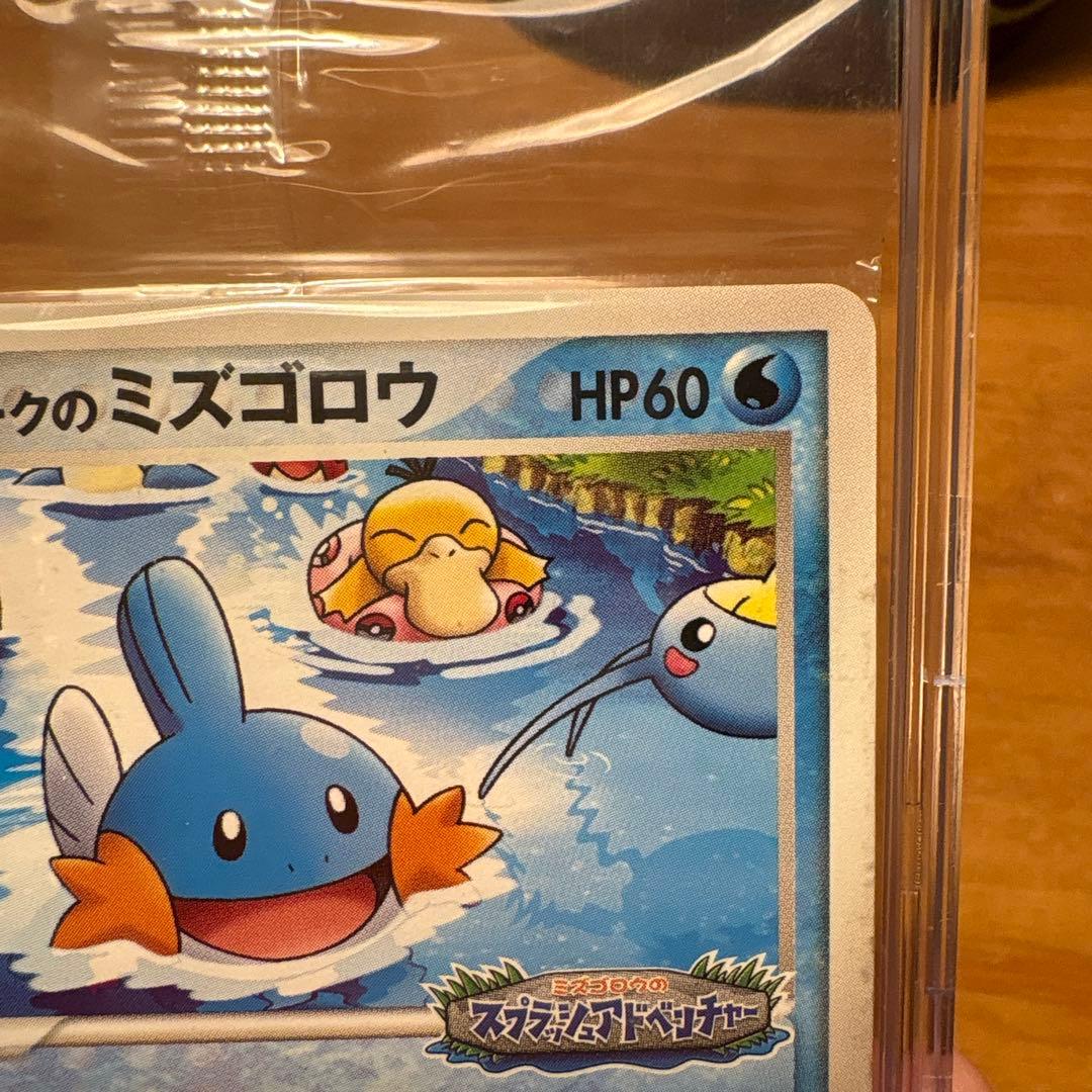 【未開封】ポケパークのミズゴロウ 048/PCG-P PROMO
