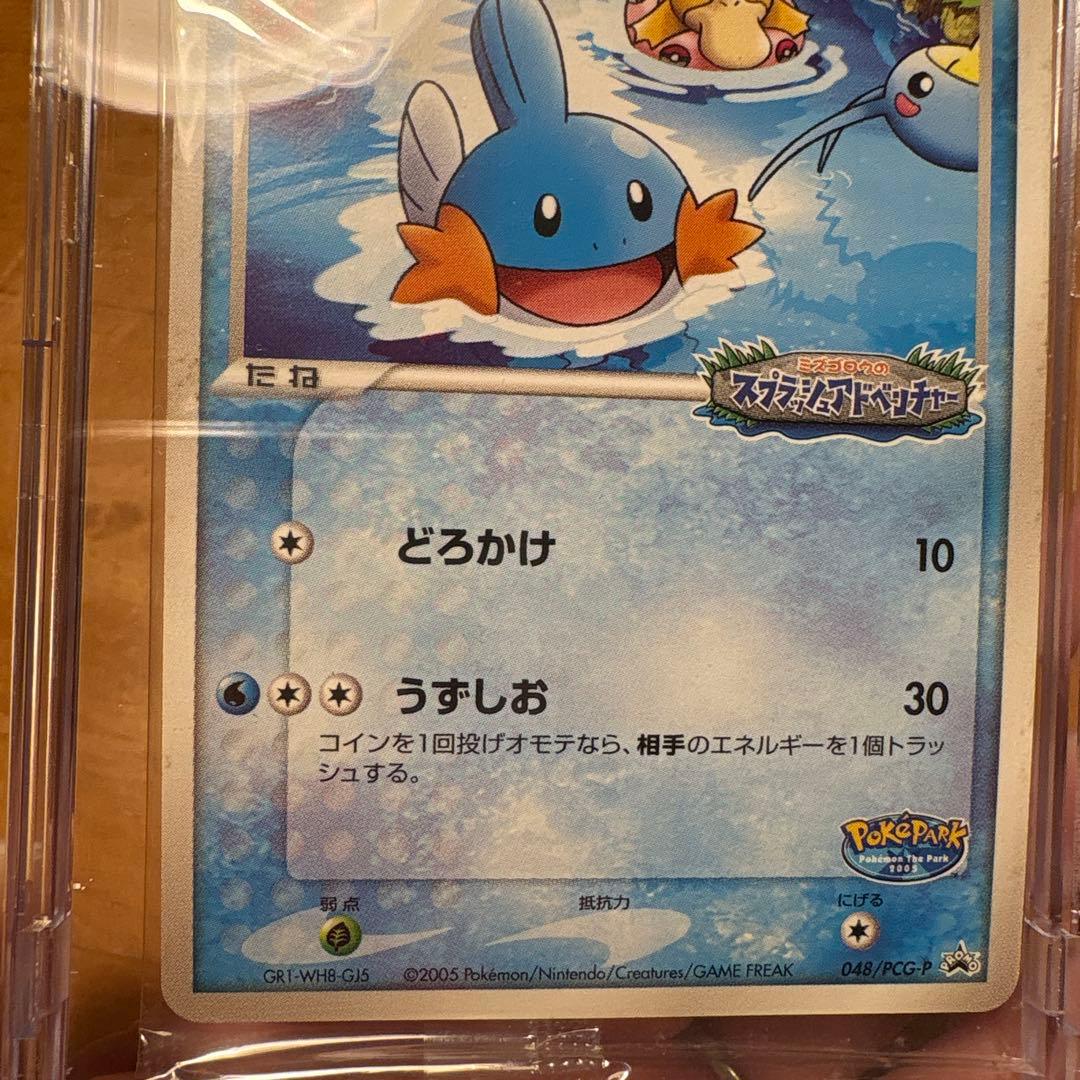 【未開封】ポケパークのミズゴロウ 048/PCG-P PROMO