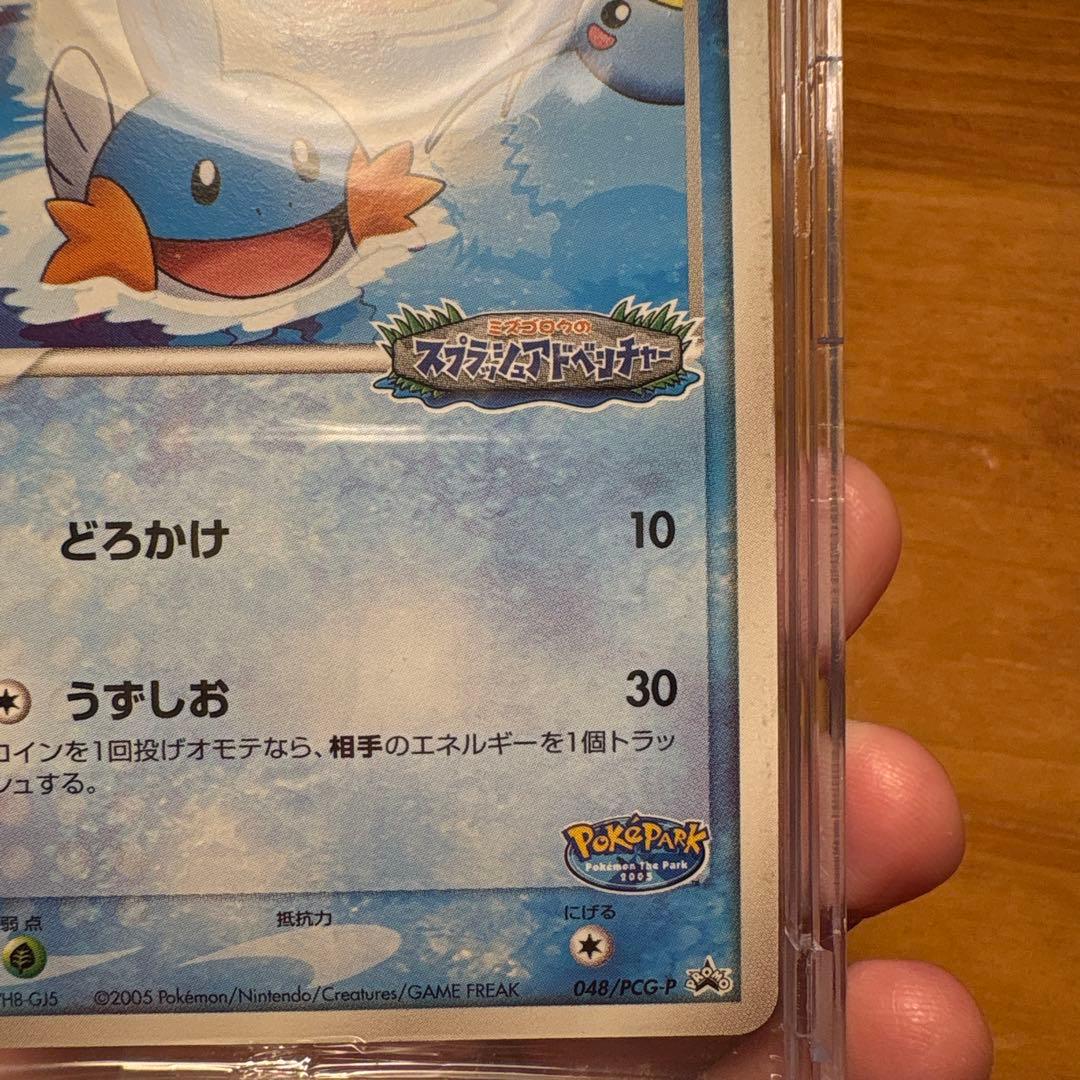 【未開封】ポケパークのミズゴロウ 048/PCG-P PROMO