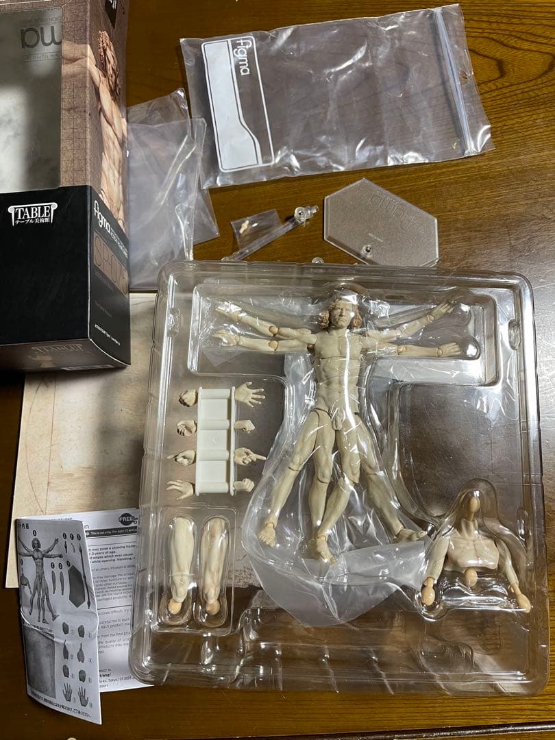 テーブル美術館①figma SP-075 ウィトルウィウス的人体図
