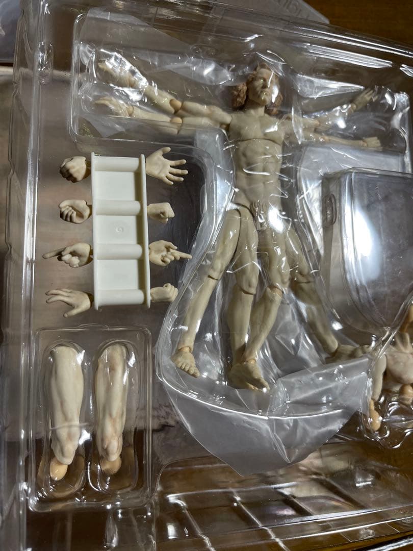 テーブル美術館①figma SP-075 ウィトルウィウス的人体図
