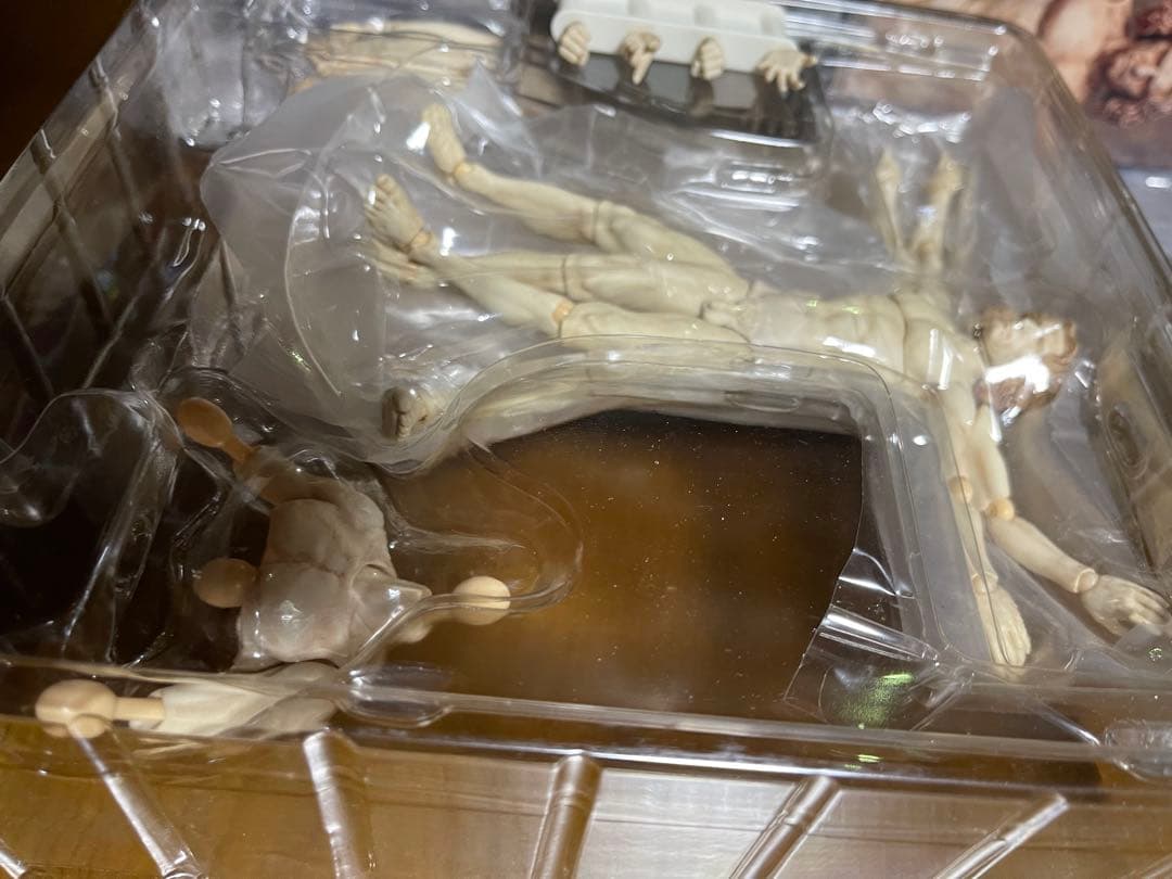テーブル美術館①figma SP-075 ウィトルウィウス的人体図