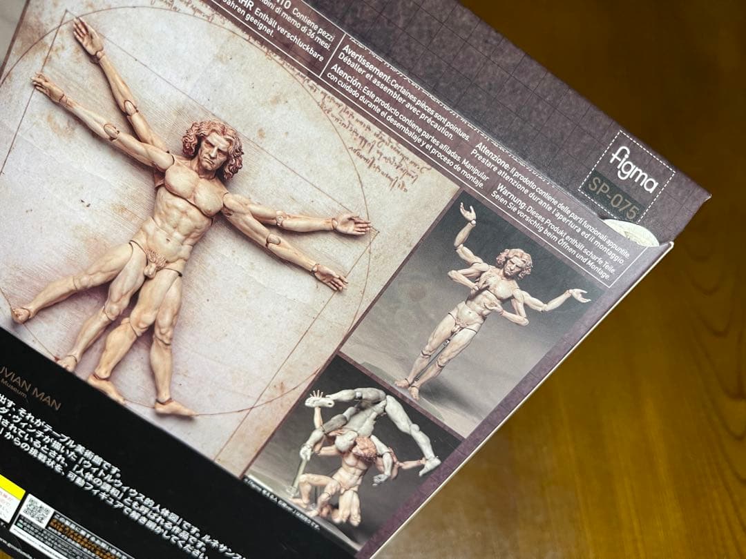 テーブル美術館①figma SP-075 ウィトルウィウス的人体図