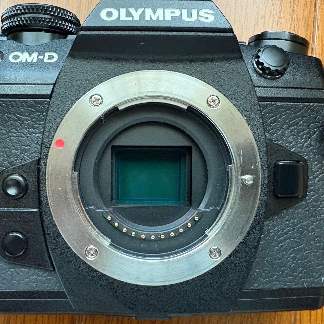 OLYMPUS OM-D EM-1 MarkⅡ ボディ ＋ 純正バッテリー2個