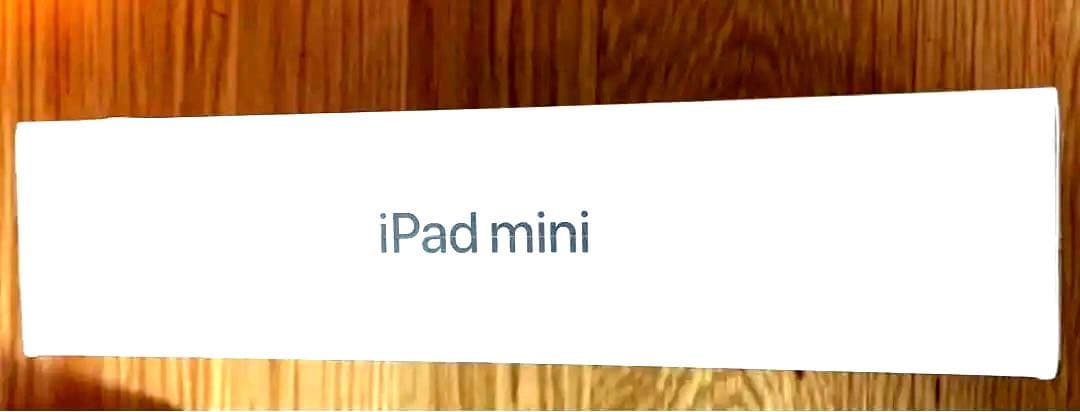 iPad本体 iPad mini6 256GB Wi-Fi