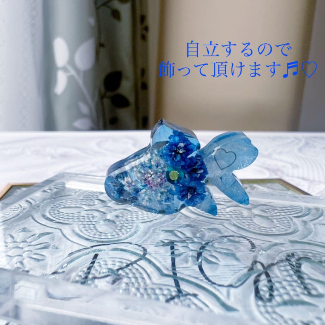 ꫛꫀꪝ【No.173】金魚~ロイヤルブルー~ 爽やか  チャーム インテリア