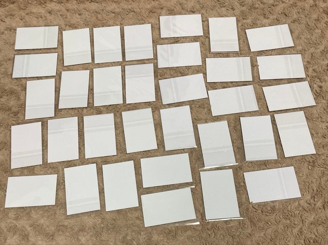 いれいす チェキ風トレカ 実写 武道館 50万人記念 33枚