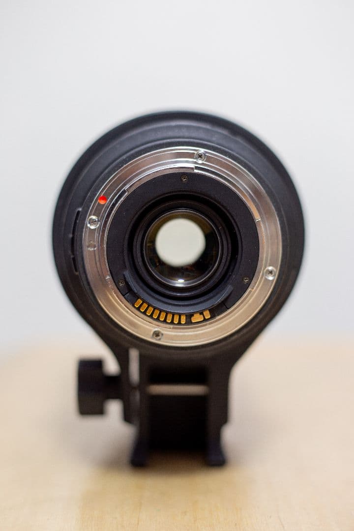 キャノン用 SIGMA シグマ 50-500mm F4-6.3 APO HSM