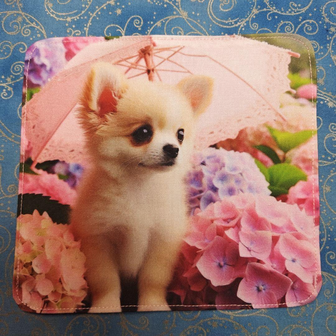 あしべ☆　パネル3枚　ハンカチ15枚　チワワ柄