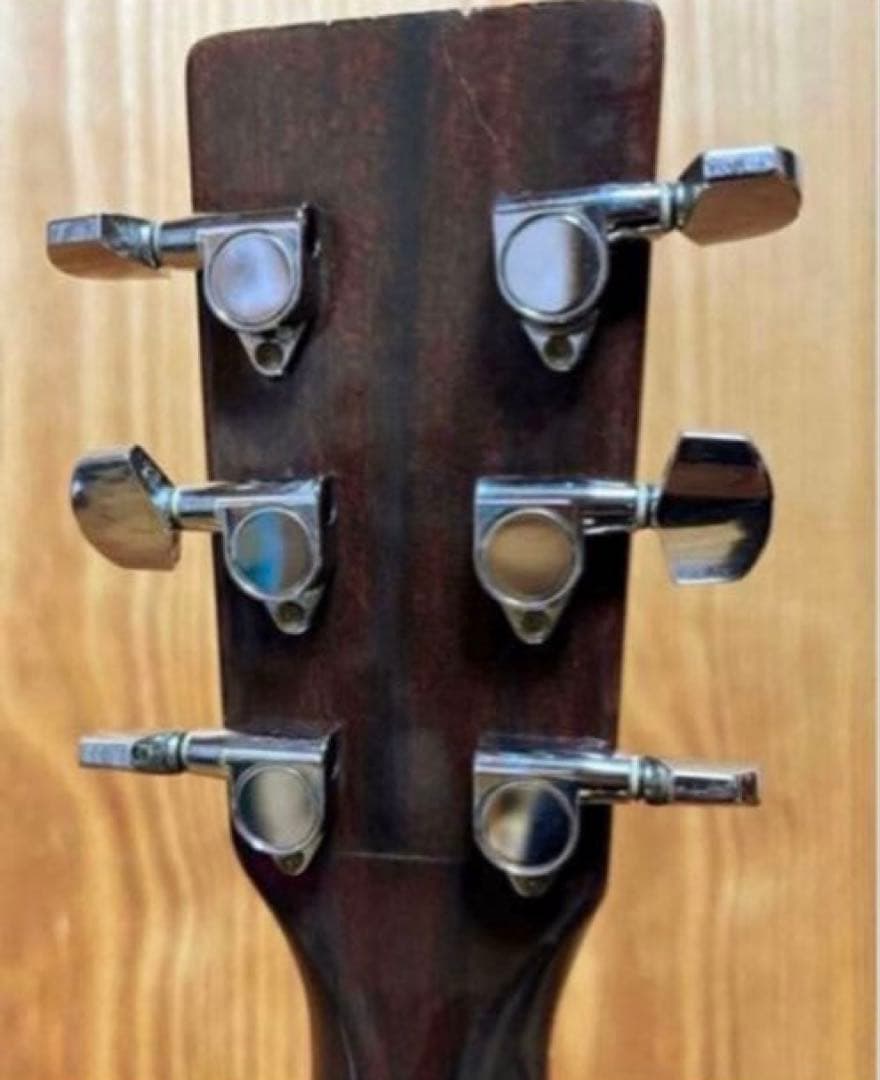 【エレアコカスタム 即戦力】Aria ADW-200BS 低弦高 ソフトケース