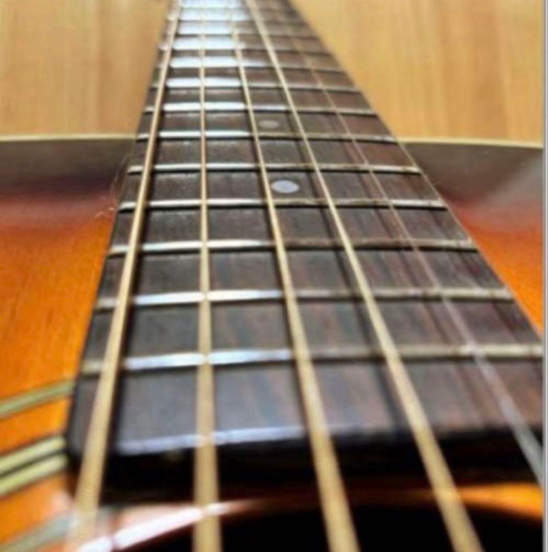 【エレアコカスタム 即戦力】Aria ADW-200BS 低弦高 ソフトケース