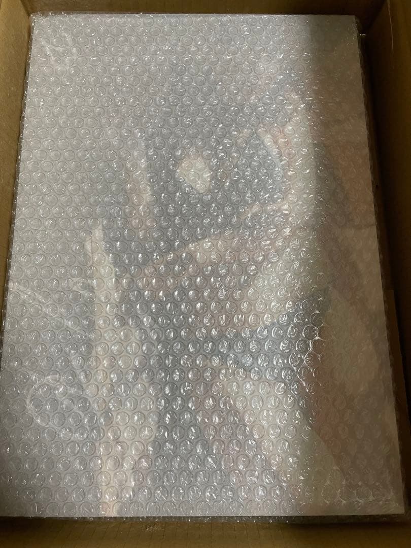 CH2468 沢口愛華 直筆サイン入り写真パネル　B.L.T数量限定販売