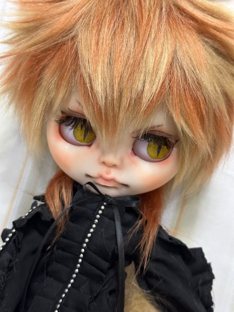 セ*ン様 アイシードール本体男の子　ボアウィッグ　OF付き　茶オレンジ猫