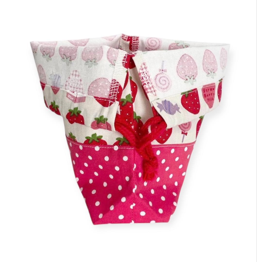 入園入学6点セット レッスンバッグセット いちご柄 レッド系 ハンドメイド