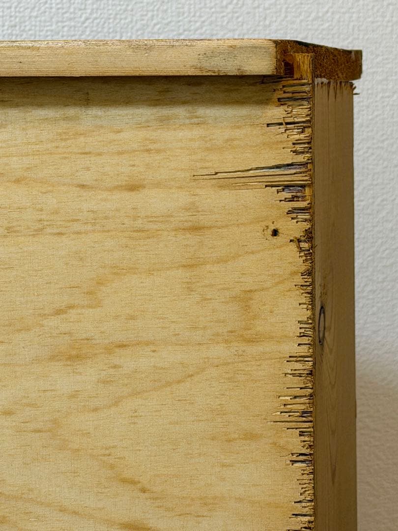 THE PENNY WISE ペニーワイズ 3段チェスト