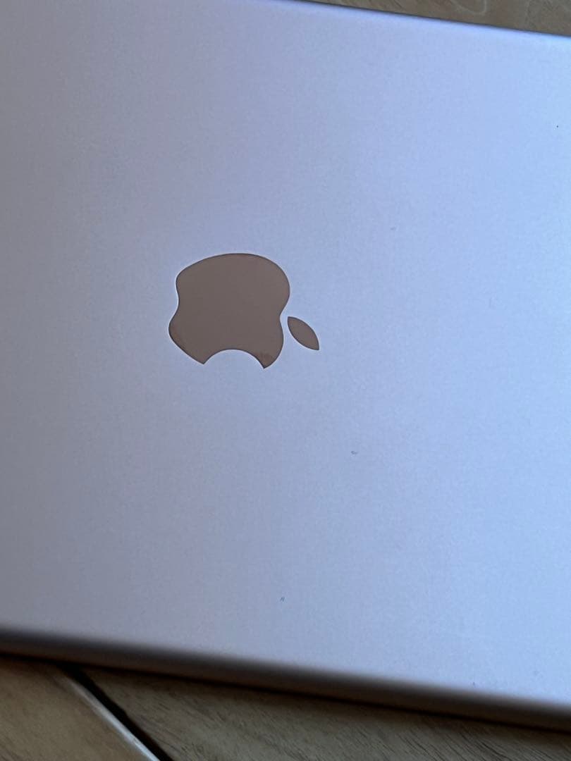 Apple iPad 6世代　ピンク　セルラー付き　128G