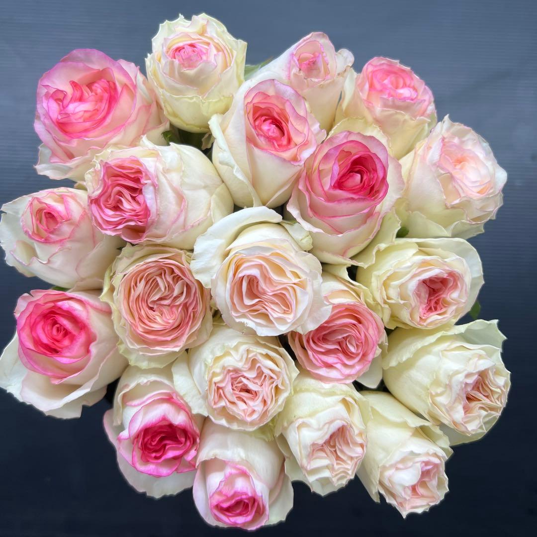 2940　パフューパープル/ドルチェヴィータ　追加ラッピング