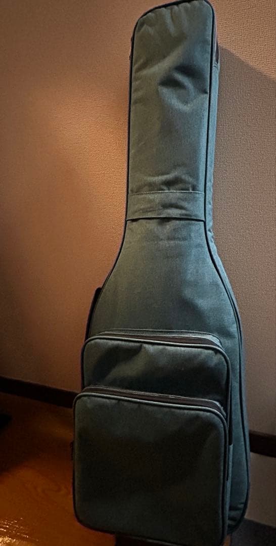 N　SCHECTER AR06