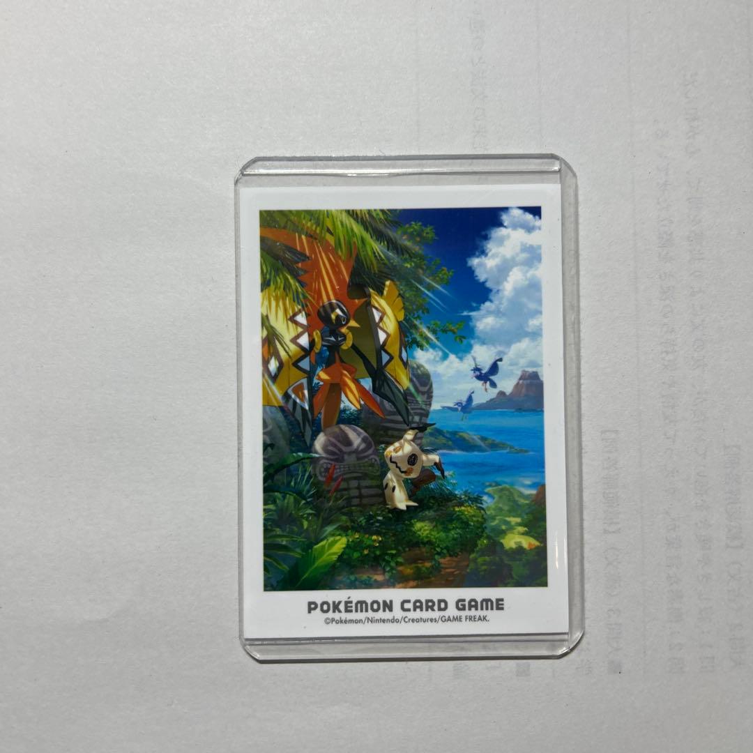 ポンチョを着たイーブイリーフィア