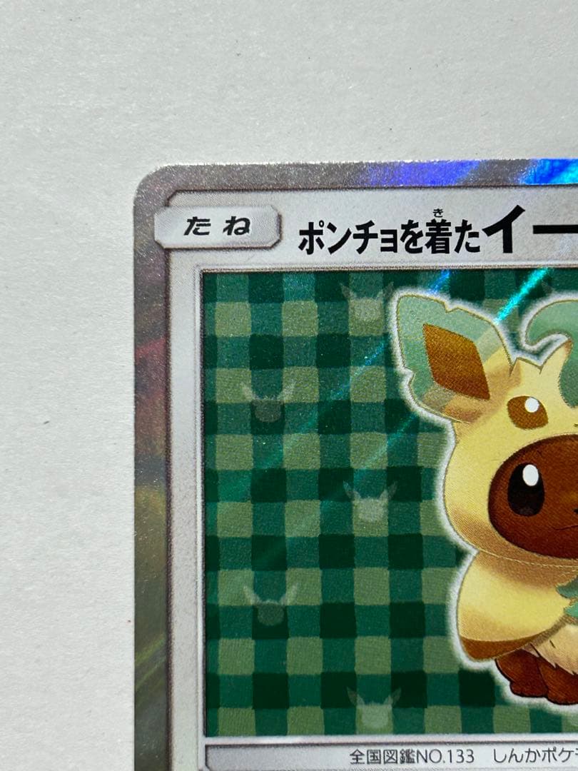 ポンチョを着たイーブイリーフィア