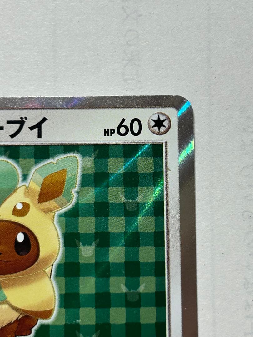 ポンチョを着たイーブイリーフィア