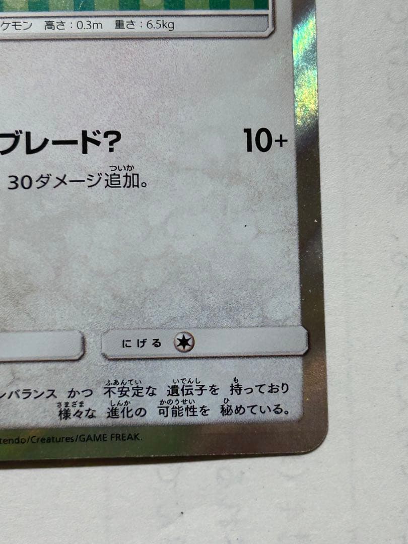 ポンチョを着たイーブイリーフィア