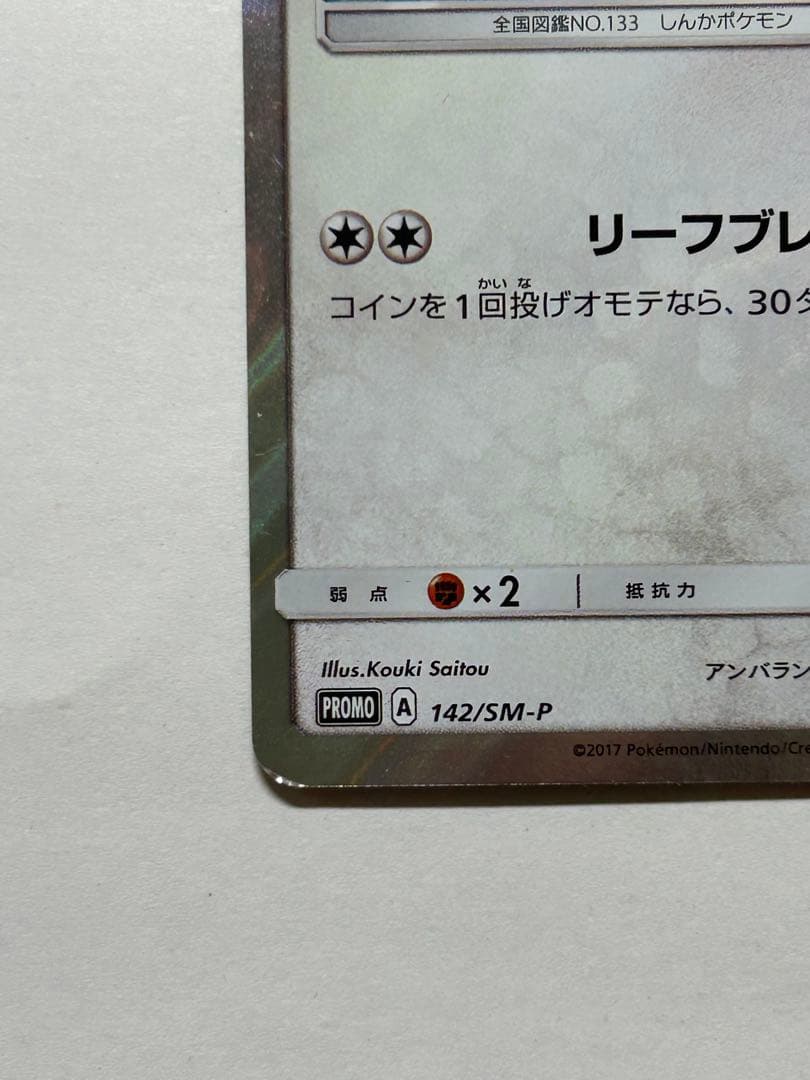 ポンチョを着たイーブイリーフィア