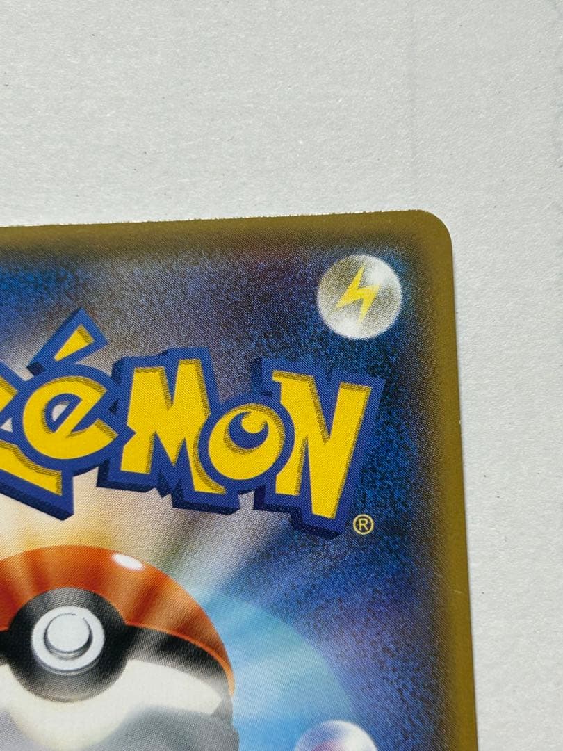 ポンチョを着たイーブイリーフィア