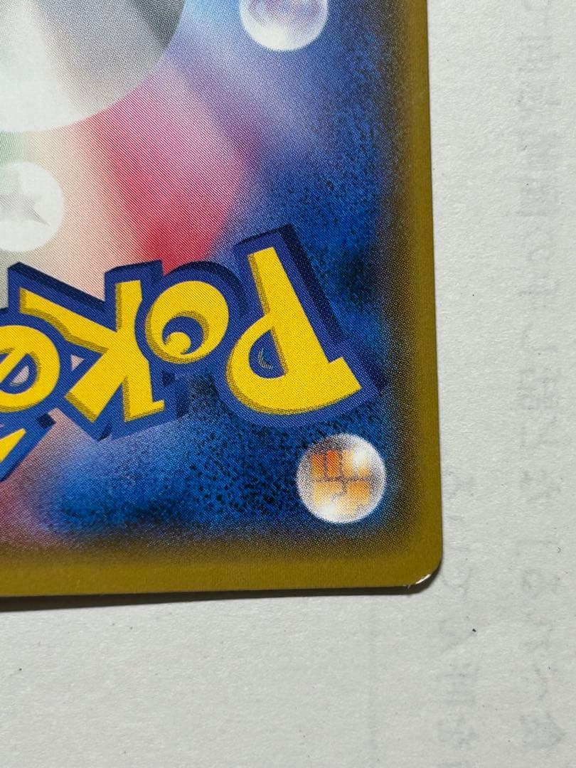 ポンチョを着たイーブイリーフィア