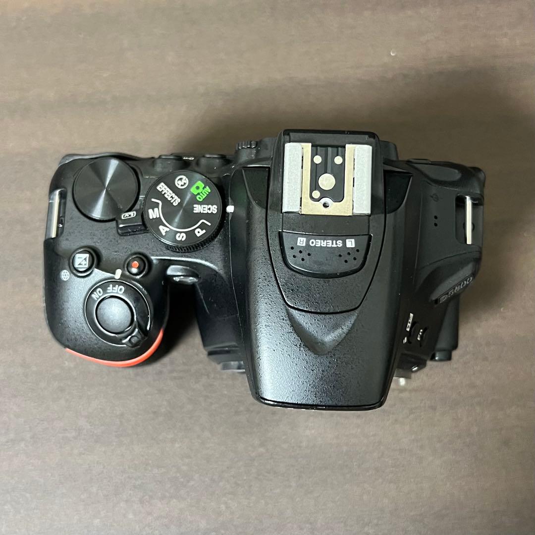 Nikon D5600+NIKKOR 18-55ｍｍ F3.5-5.6G VR