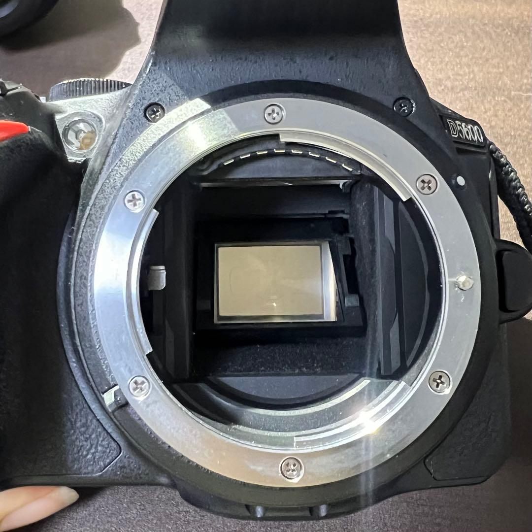 Nikon D5600+NIKKOR 18-55ｍｍ F3.5-5.6G VR