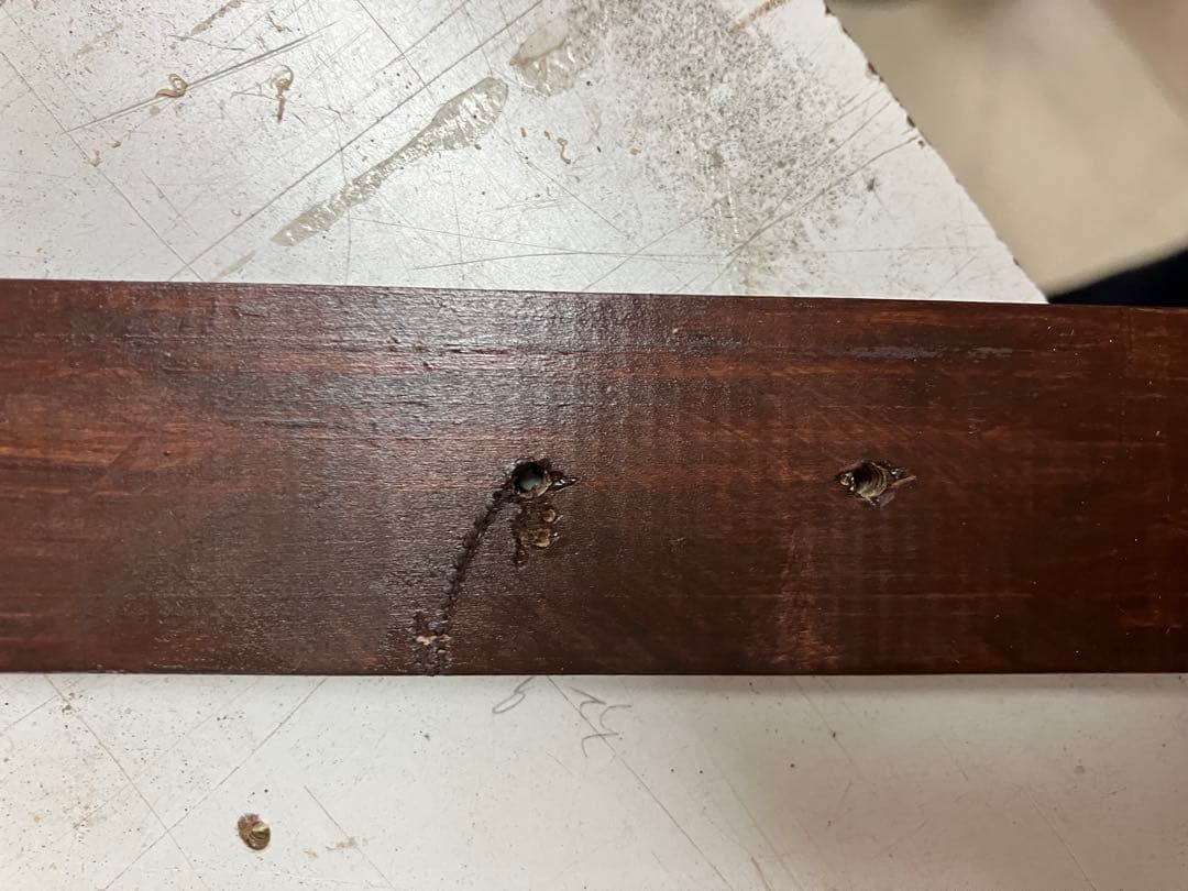 木製　ツリー型　ハンガーラック ダークブラウン