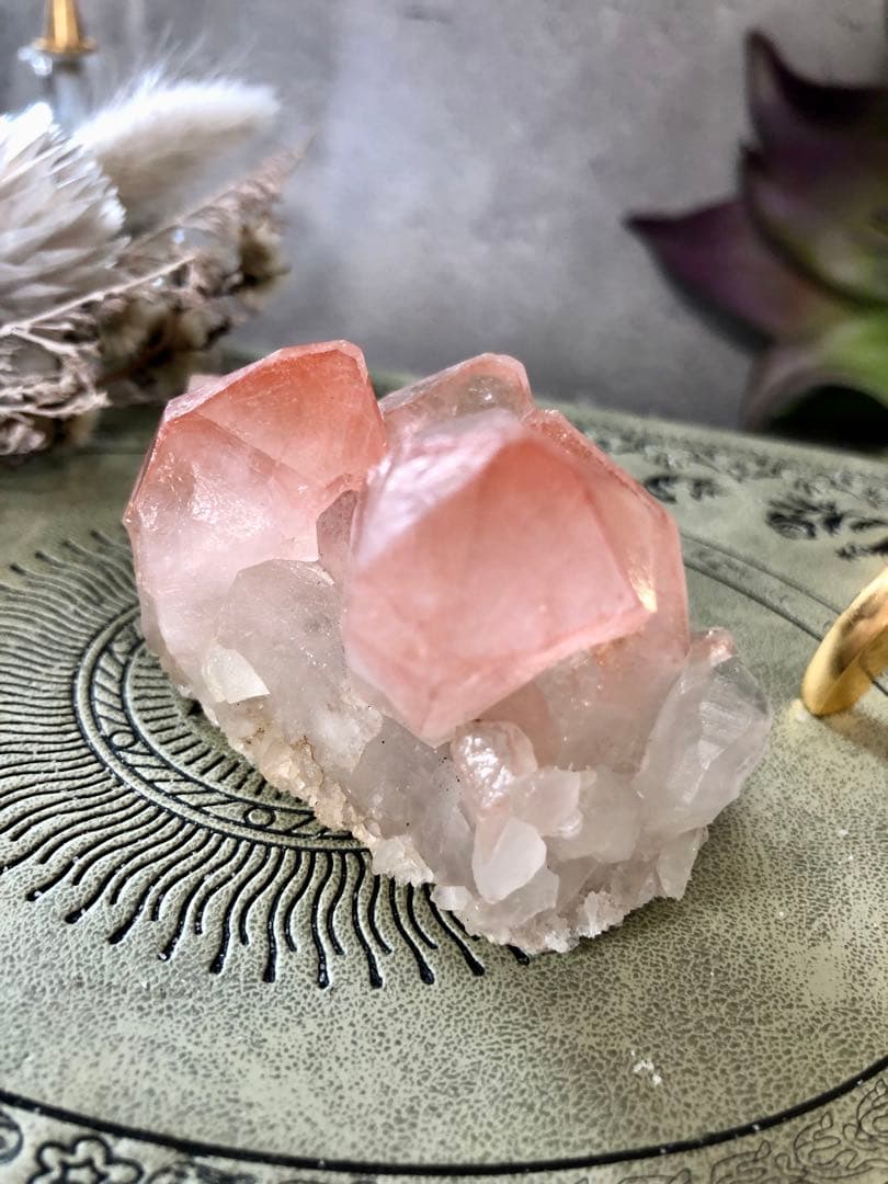 スカーレットテンプルレムリアン　クラスター　ストロベリー　レムリアン　ピンク