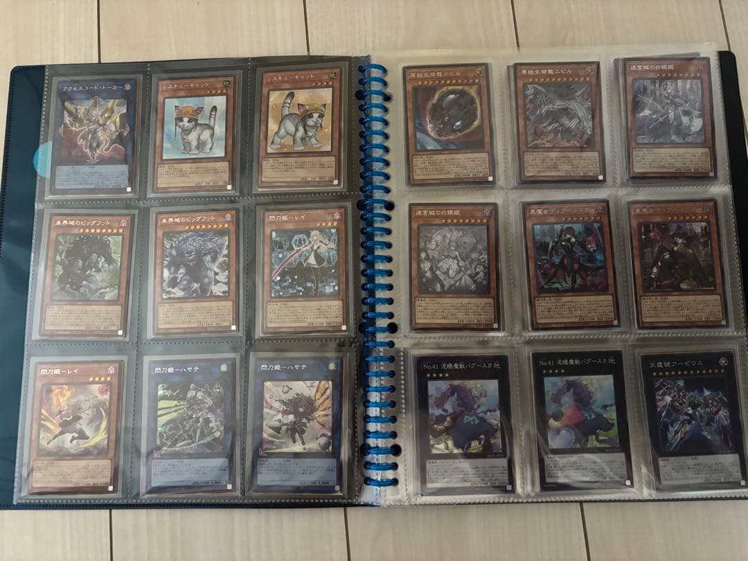 quartercenturyartcollection シクレアコンプファイル