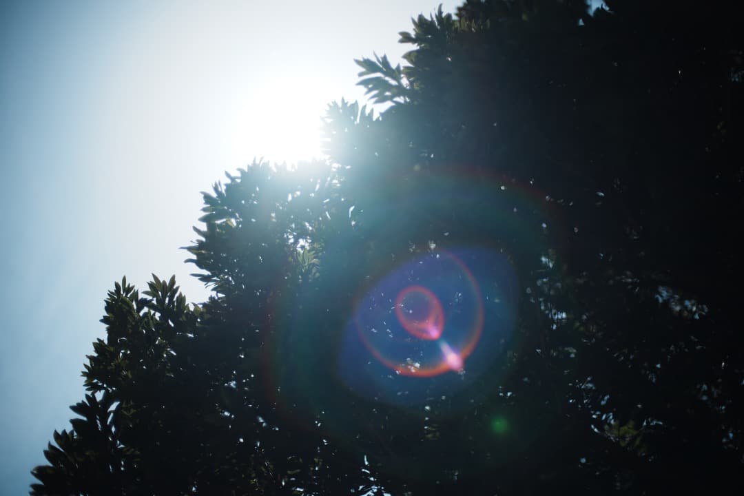 【極美品】ニコン Ai-s Nikkor 50mm F1.4 大口径 497