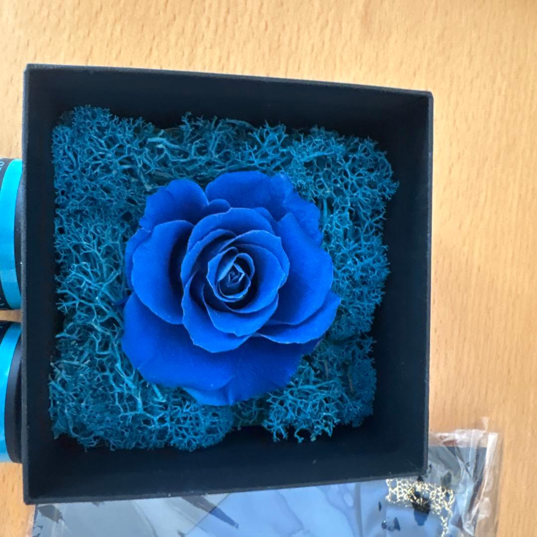 Ado SPECIAL LIVE 2024 グッズセット