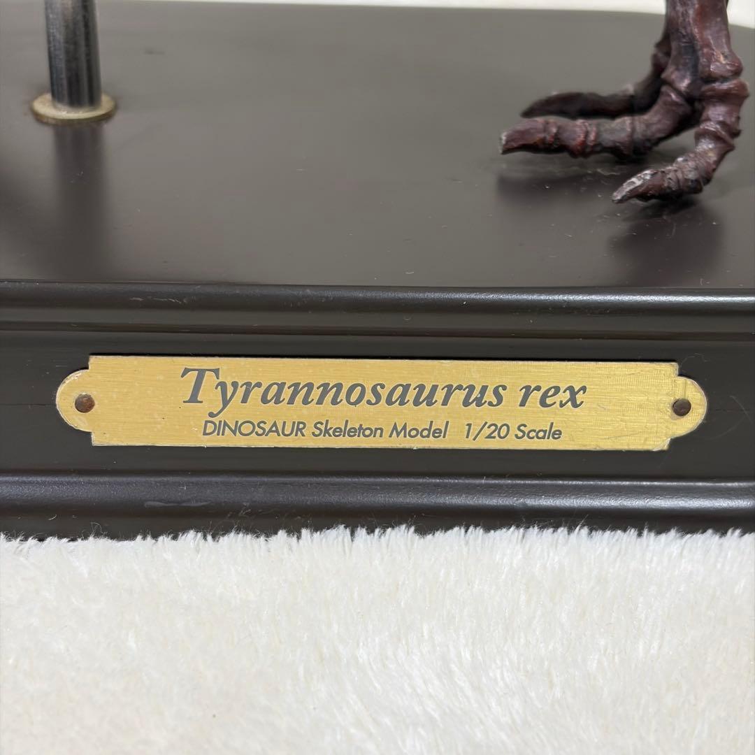 FAVORITE 恐竜 スケルトン 骨格 模型 1/20 ティラノ トリケラ
