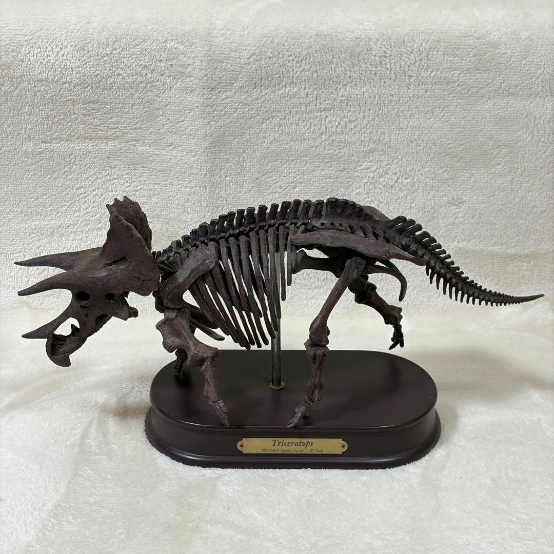 FAVORITE 恐竜 スケルトン 骨格 模型 1/20 ティラノ トリケラ