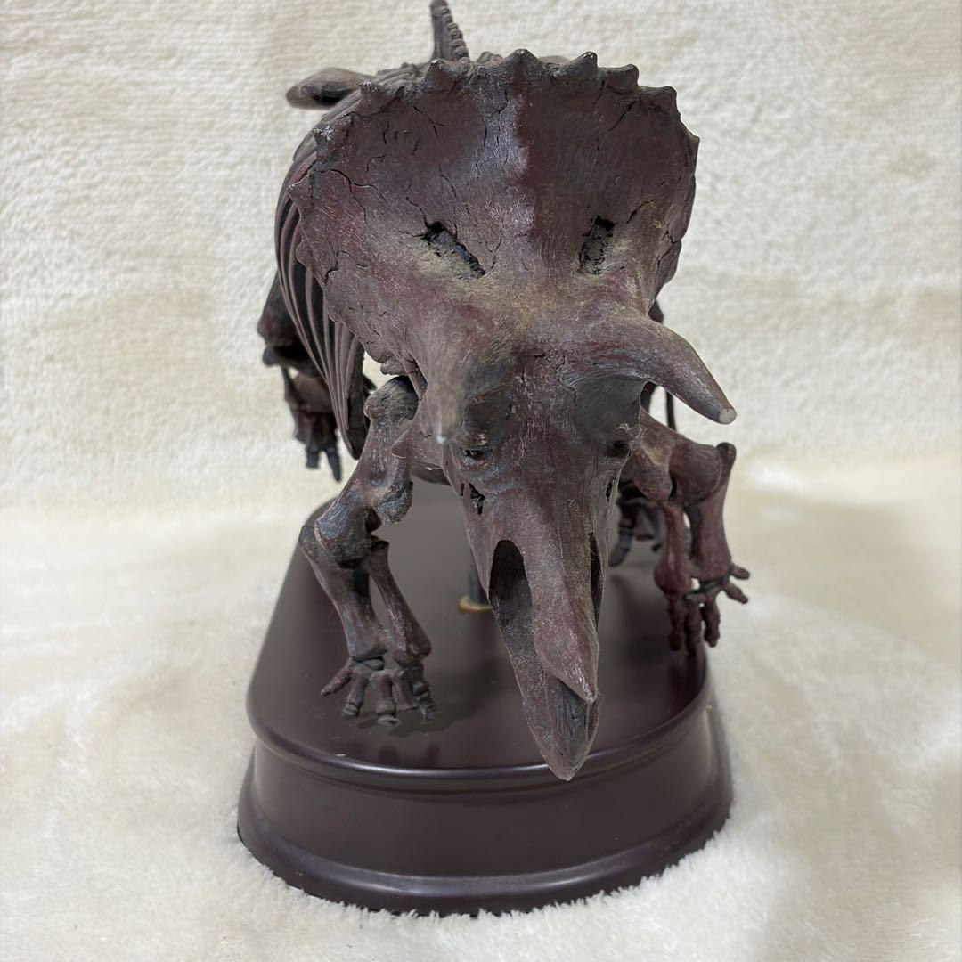 FAVORITE 恐竜 スケルトン 骨格 模型 1/20 ティラノ トリケラ