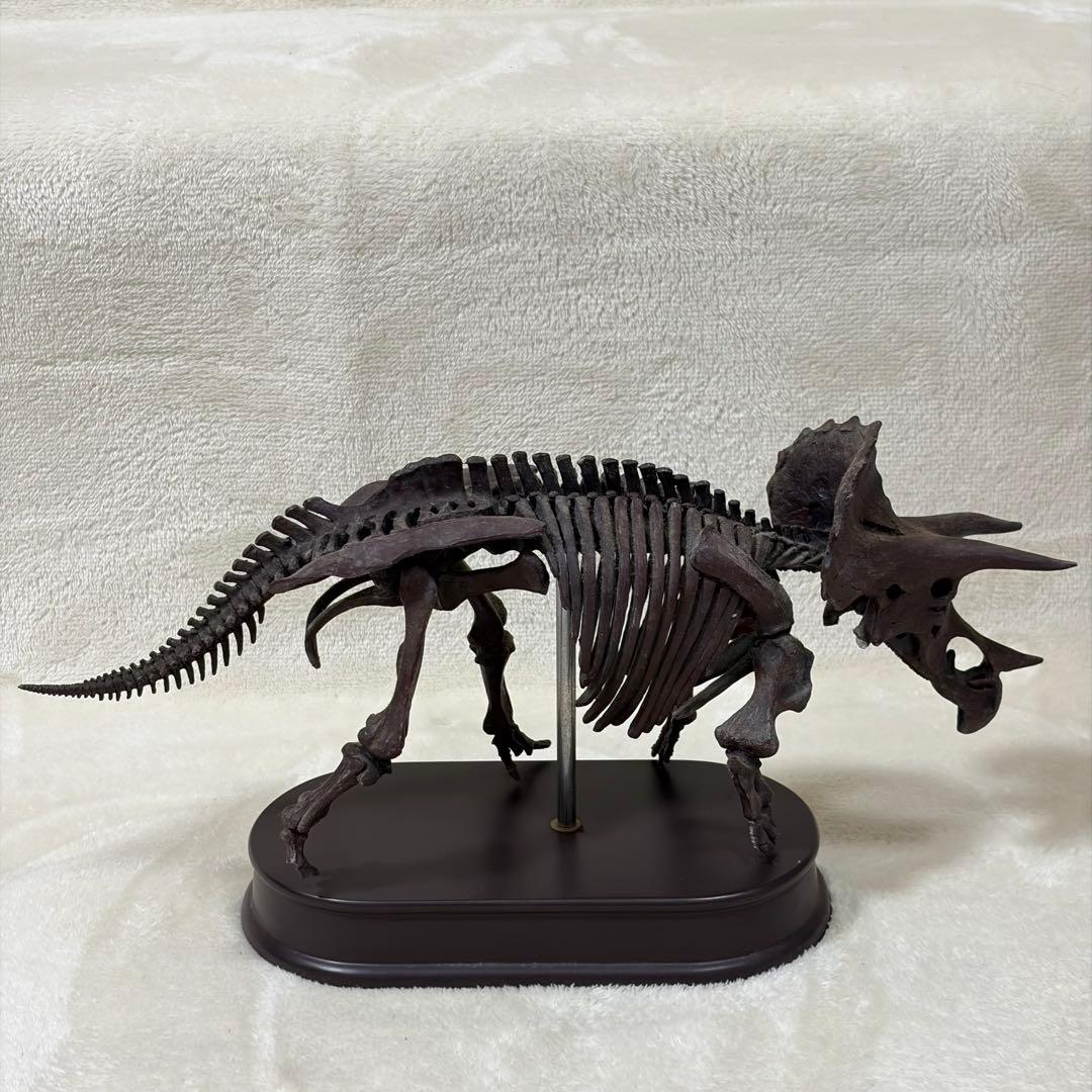 FAVORITE 恐竜 スケルトン 骨格 模型 1/20 ティラノ トリケラ