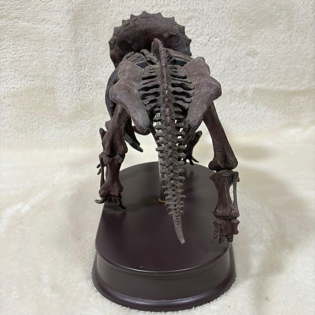 FAVORITE 恐竜 スケルトン 骨格 模型 1/20 ティラノ トリケラ